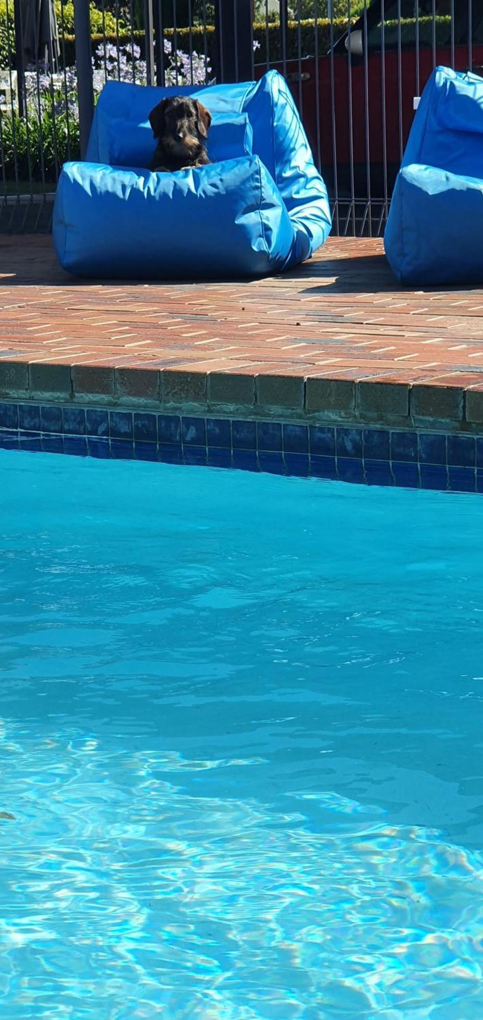 וואנגארטה Parkview Motor Inn And Apartments מראה חיצוני תמונה